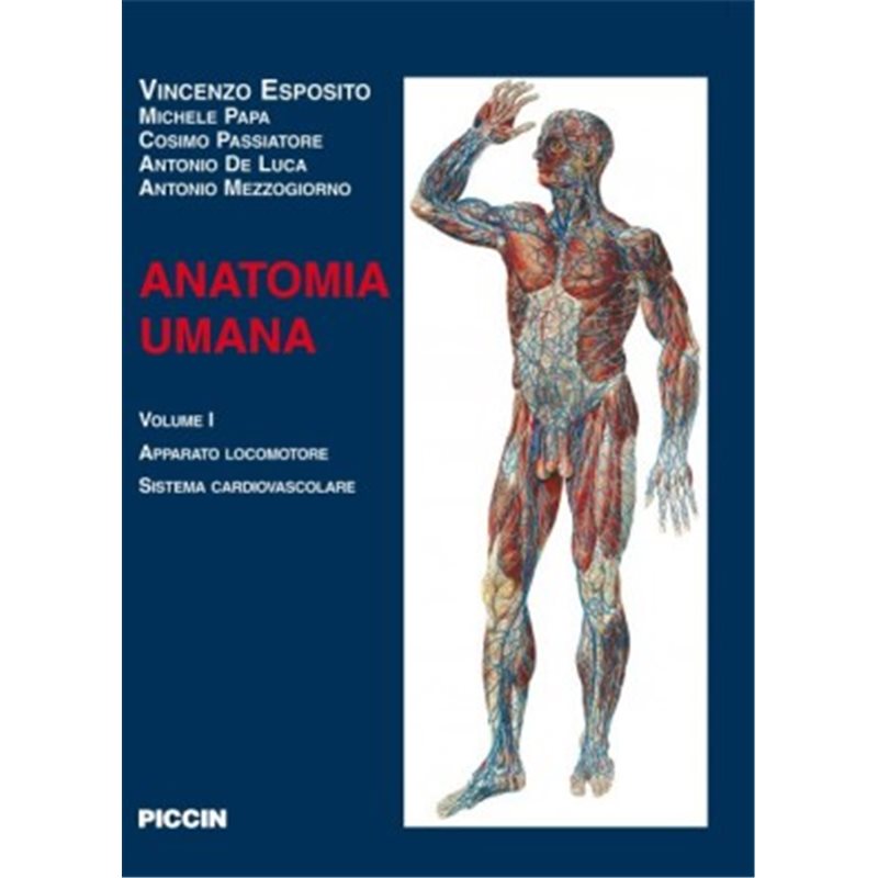 Anatomia Umana